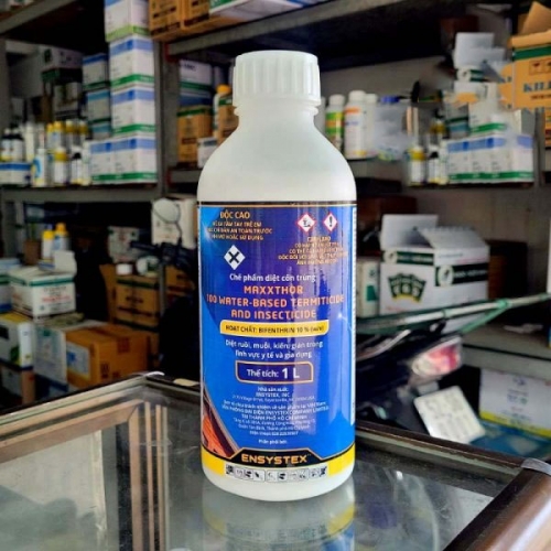 Thuốc diệt muỗi côn trùng Maxxthor 100