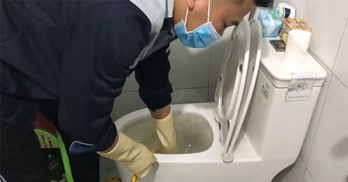 Toilet bị tắc tại Ninh Bình