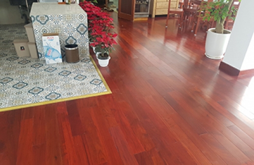 Cách vệ sinh sàn gỗ tự nhiên hiệu quả tại Ninh Bình