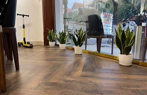 Chia sẻ kinh nghiệm lau sàn gỗ đúng cách tại Ninh Bình