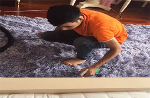 Giải pháp giặt thảm lông vừa sạch vừa đơn giản tại Ninh Bình