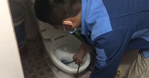 Dịch vụ thông tắc bồn cầu uy tín chất lượng cao